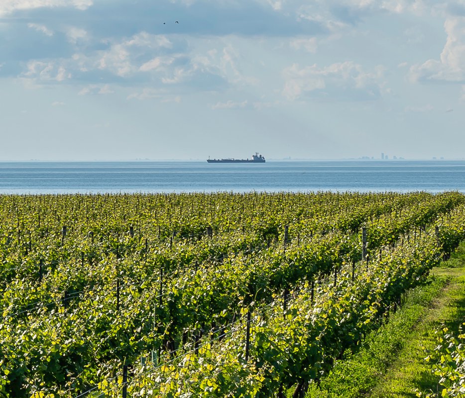 Lake Ontario - BCM Insurance